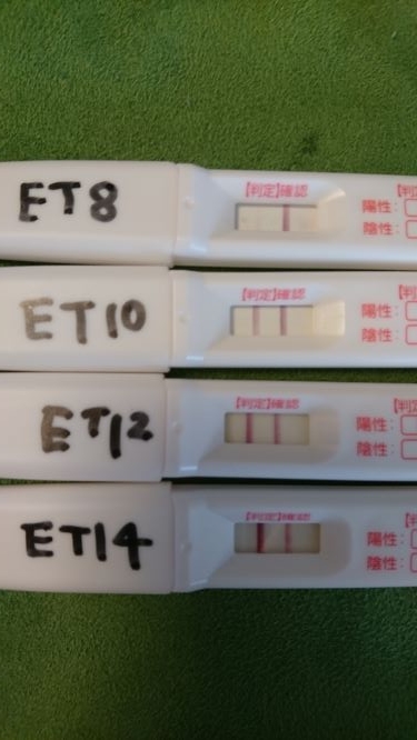 妊娠検査薬、ドゥーテスト、ET8、ET10、ET12、ET14、フライング