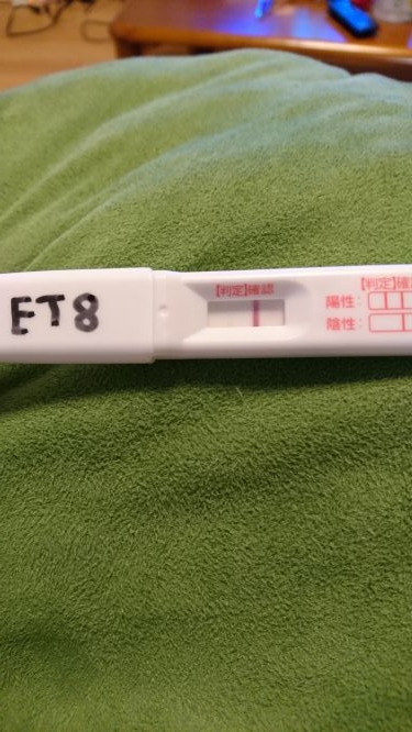 初期胚移植2回目 判定日 Et8 Et14フライング画像あり 4年間の不妊治療とその後の日常を綴るブログ