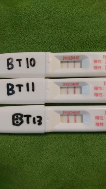 BT10、BT11、BT13、ドゥーテスト、妊娠検査薬、フライング