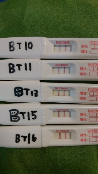 BT10、BT11、BT13、BT15、BT16、ドゥーテスト、妊娠検査薬、陽性、稽留流産