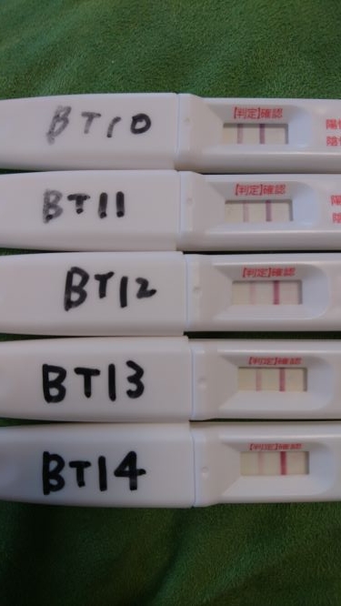 BT10、BT11、BT12、BT13、BT14、妊娠検査薬、ドゥーテスト、フライング