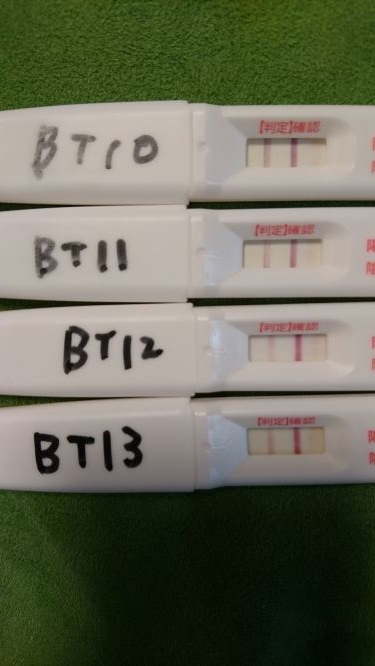 BT10、BT11、BT12、BT13、妊娠検査薬、ドゥーテスト、フライング