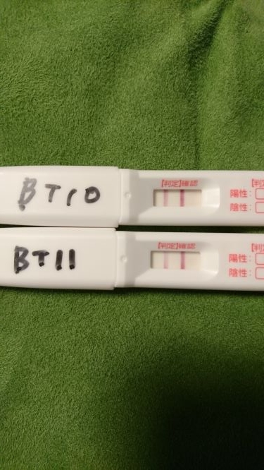 BT10、BT11、妊娠検査薬、ドゥーテスト、フライング